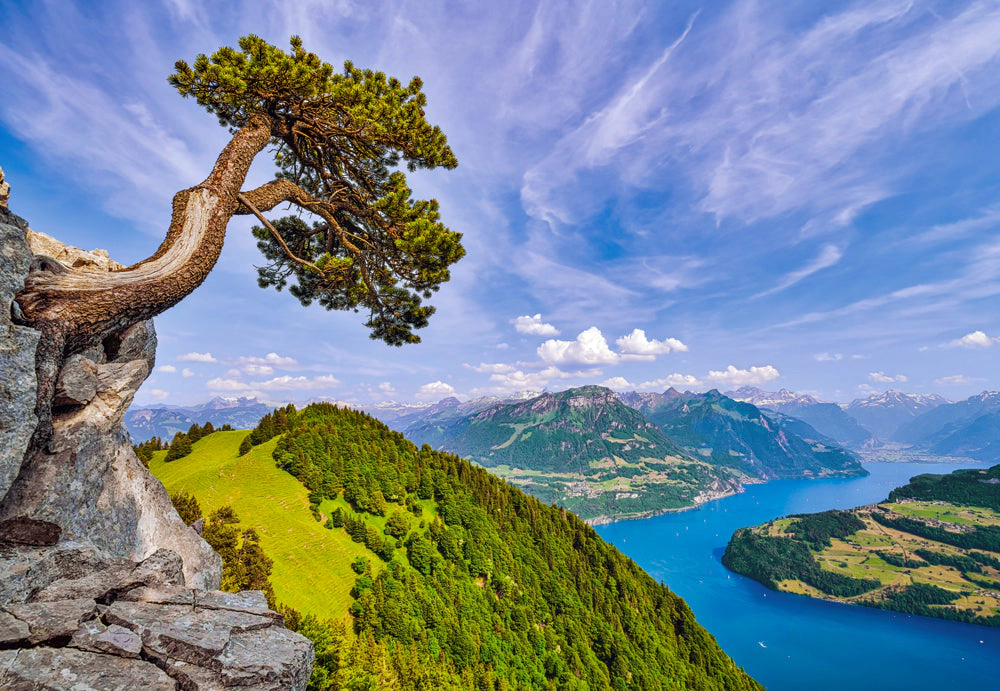 CASTORLAND 1000 Piece Jigsaw Puzzles, View of the Lake of Uri, Switzerland, Mountain, C-105311-2