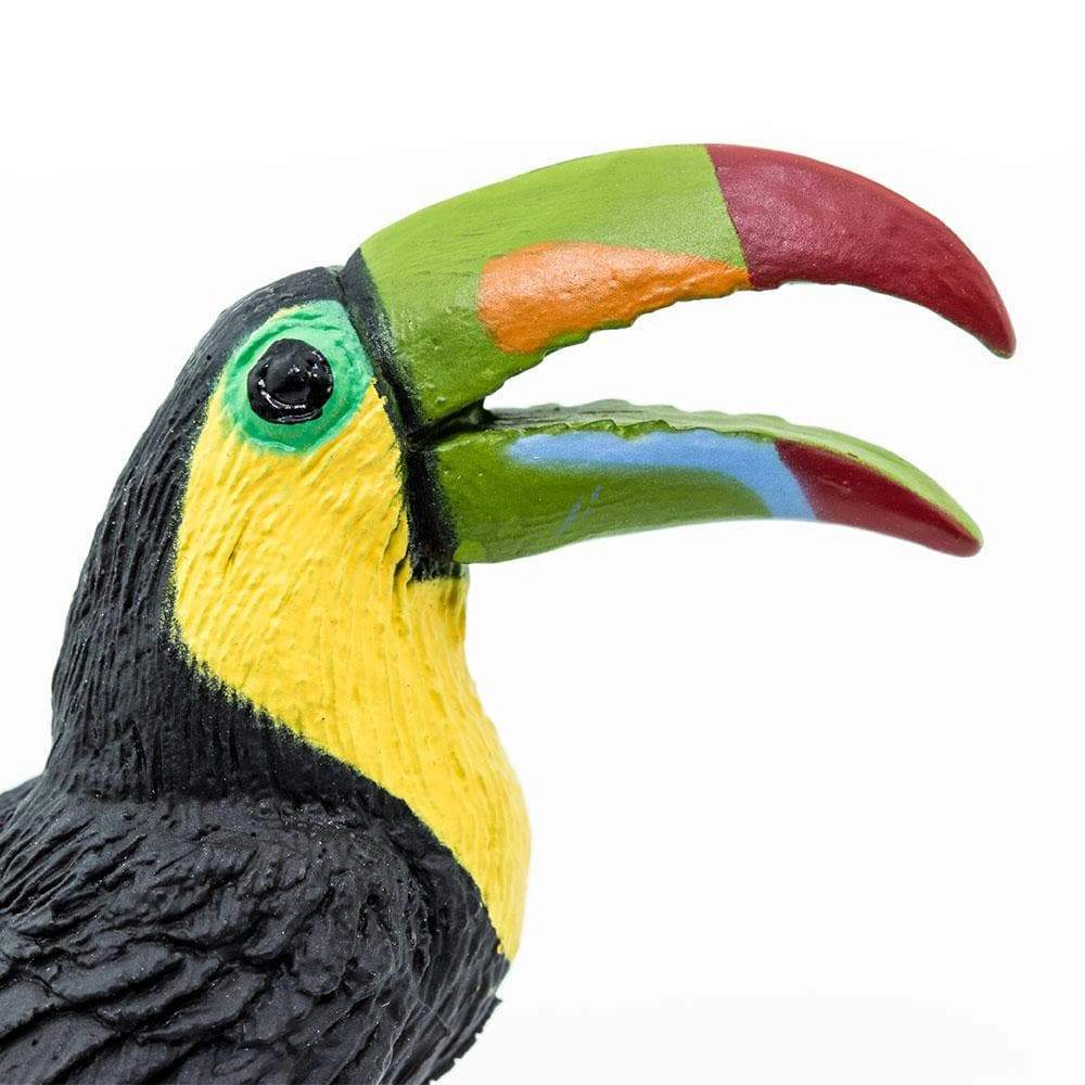 Safari Ltd. - Toucan Kids Toy Figure