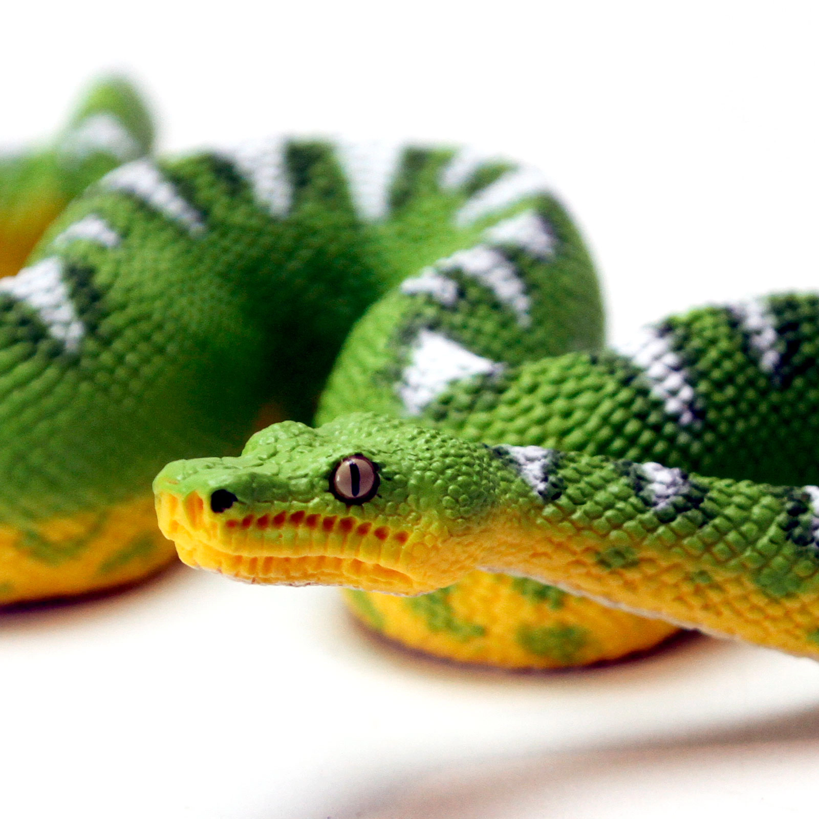 Safari Ltd. - Emerald Tree Boa Kids Toy Figure