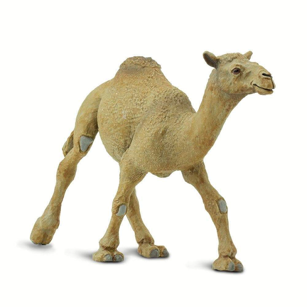 Safari Ltd. - Dromedary Camel Kids Toy Figure