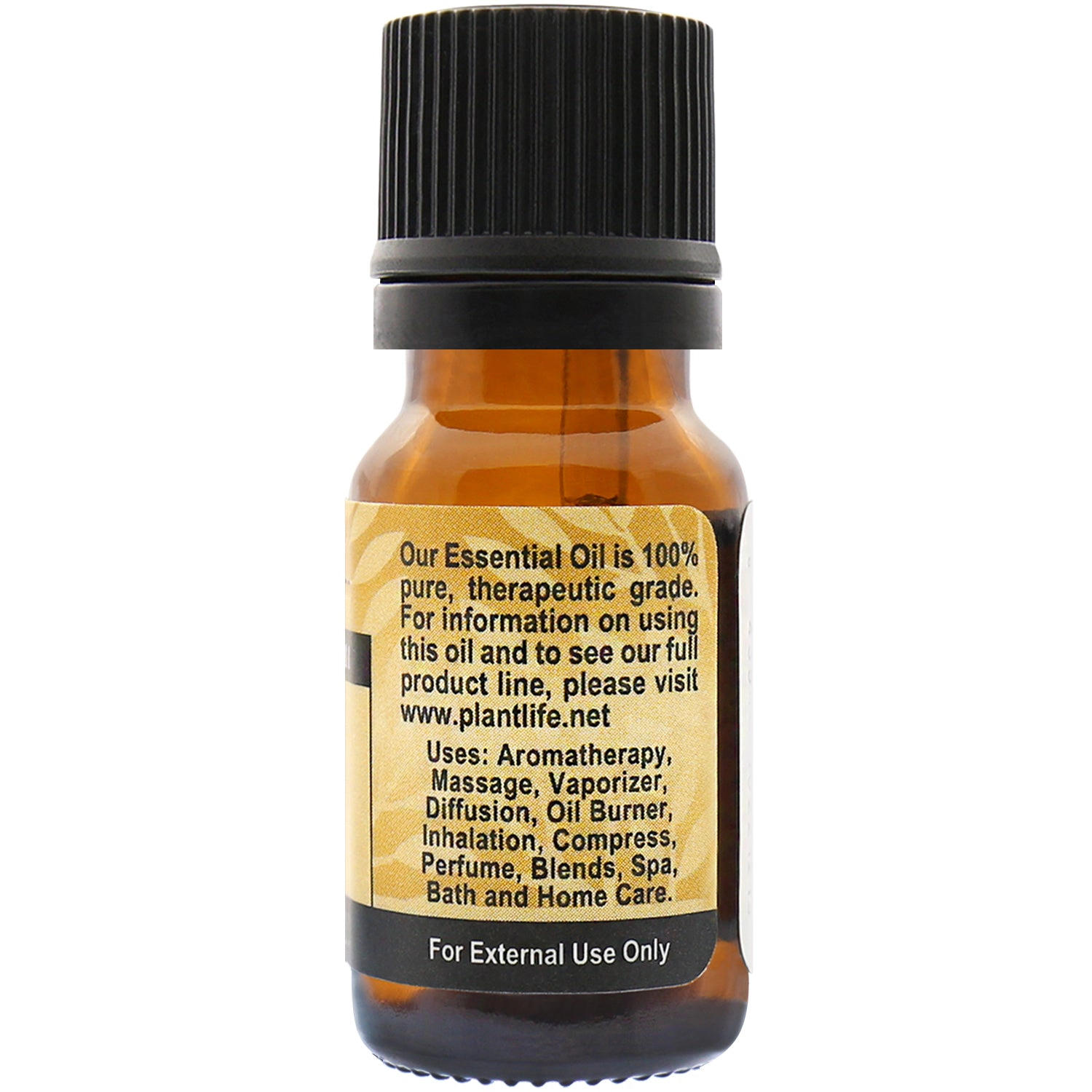 Plantlife Caraway Essential Oil