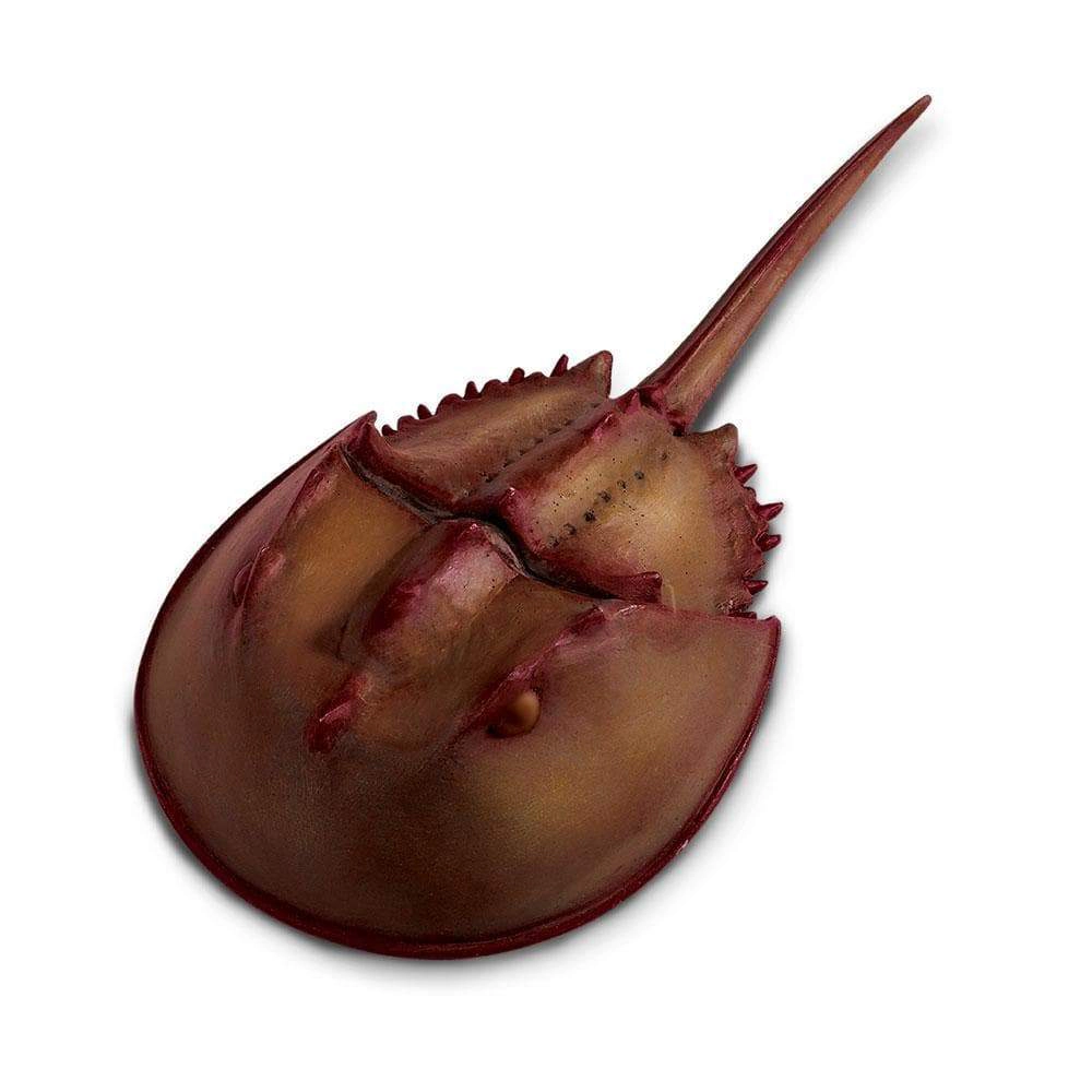 Safari Ltd. - Horseshoe Crab Kids Toy Figure