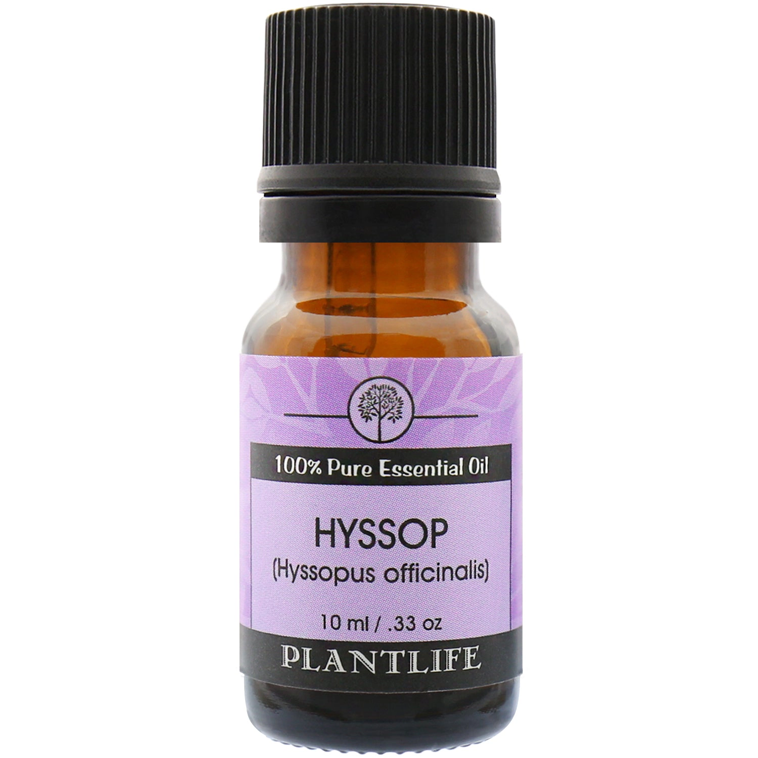 Plantlife Hyssop Essential Oil