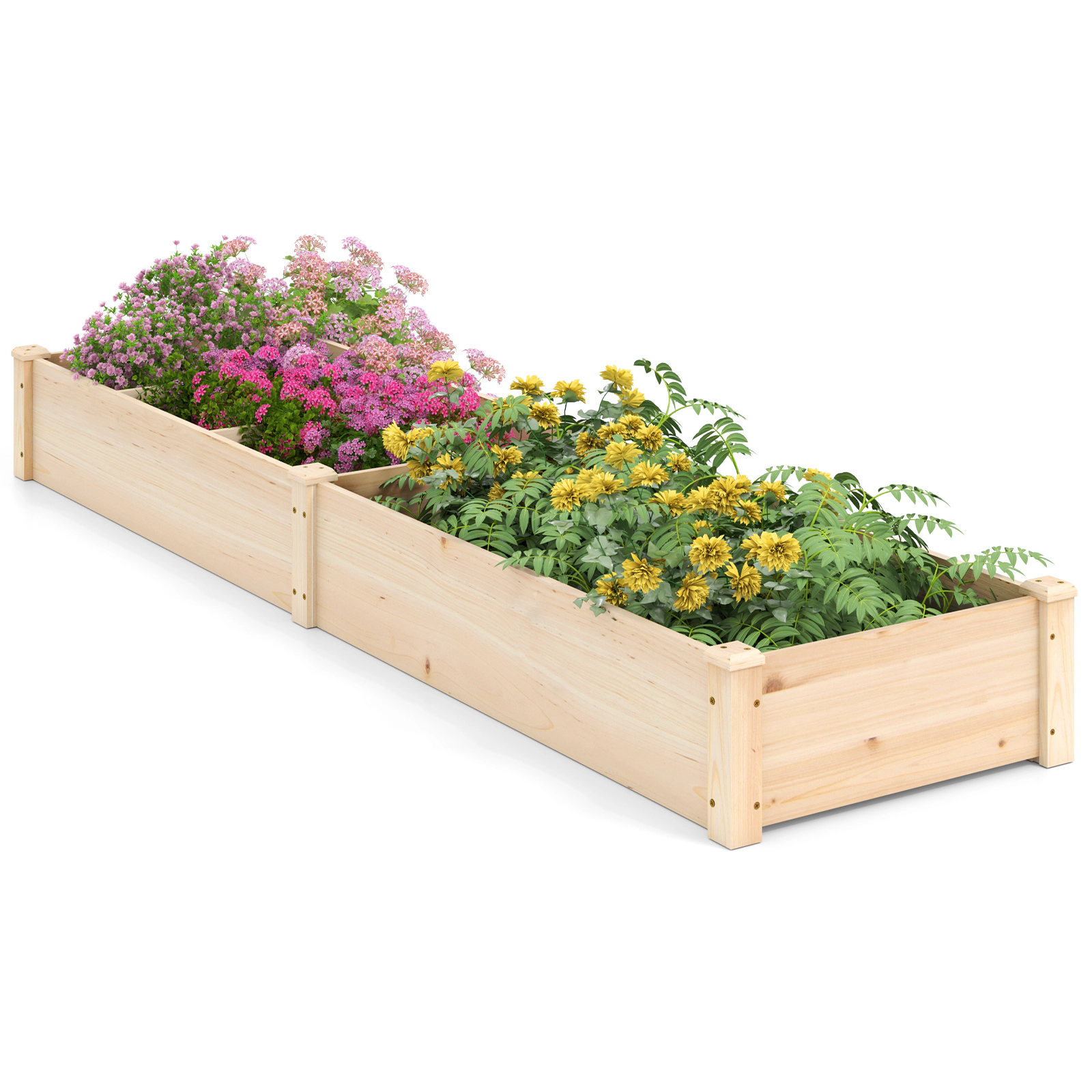 SlickBlue 90 Inch Fir Wood Raised Garden Bed with Divider Planter Box