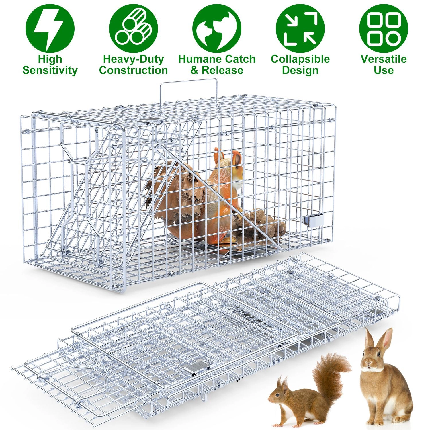 GBruno 2-Piece Collapsible Live Animal Trap Cage