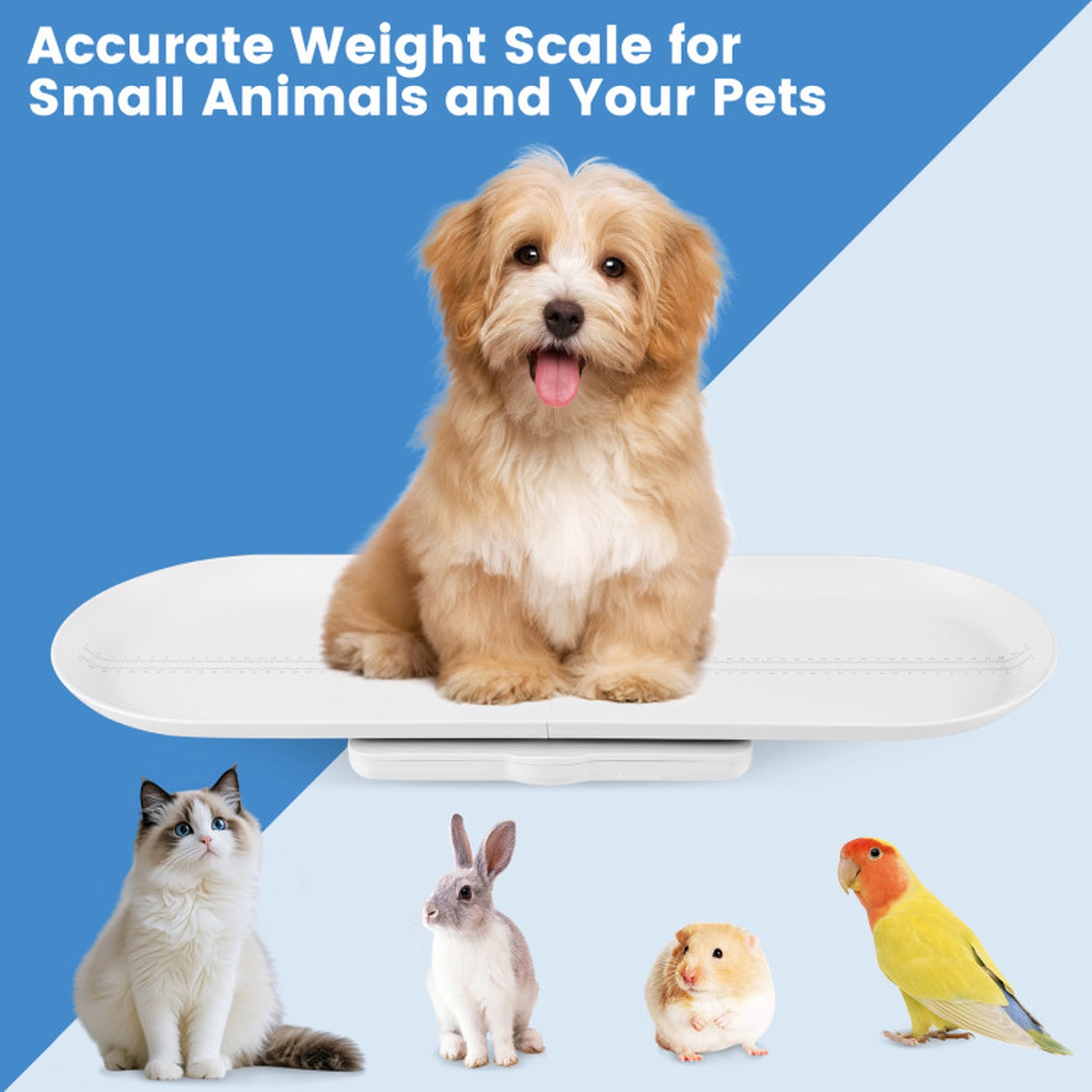 SUGIFT White Detachable Tray for Weight and Height Measurement Infant Scale