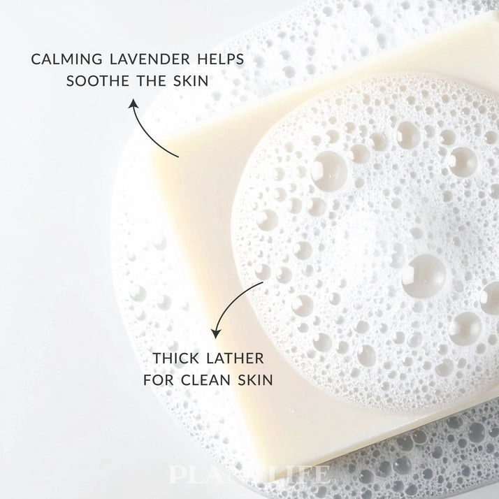 Plantlife Lavender Aromatherapy Herbal Soap